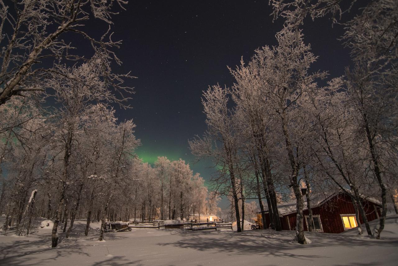 Husky Lodge Hostel Кируна Экстерьер фото