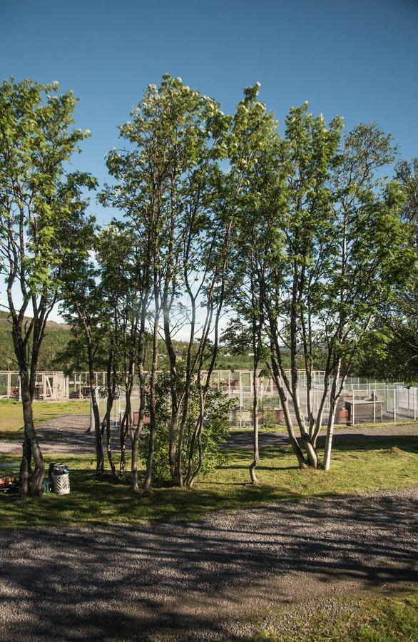 Husky Lodge Hostel Кируна Экстерьер фото